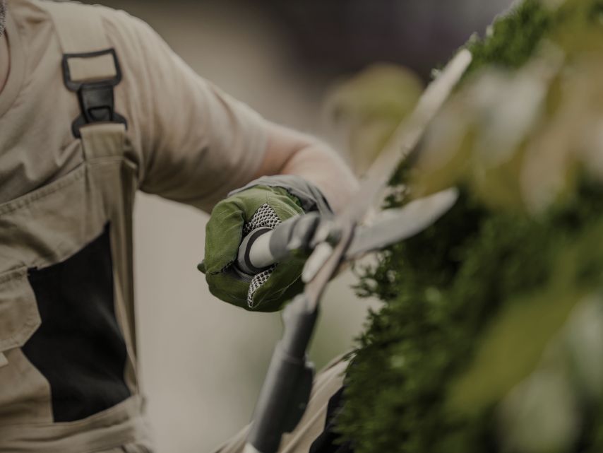 Regulier onderhoud - gazons, bomen, hagen en heesters plus onkruid wieden, beregening en controle.