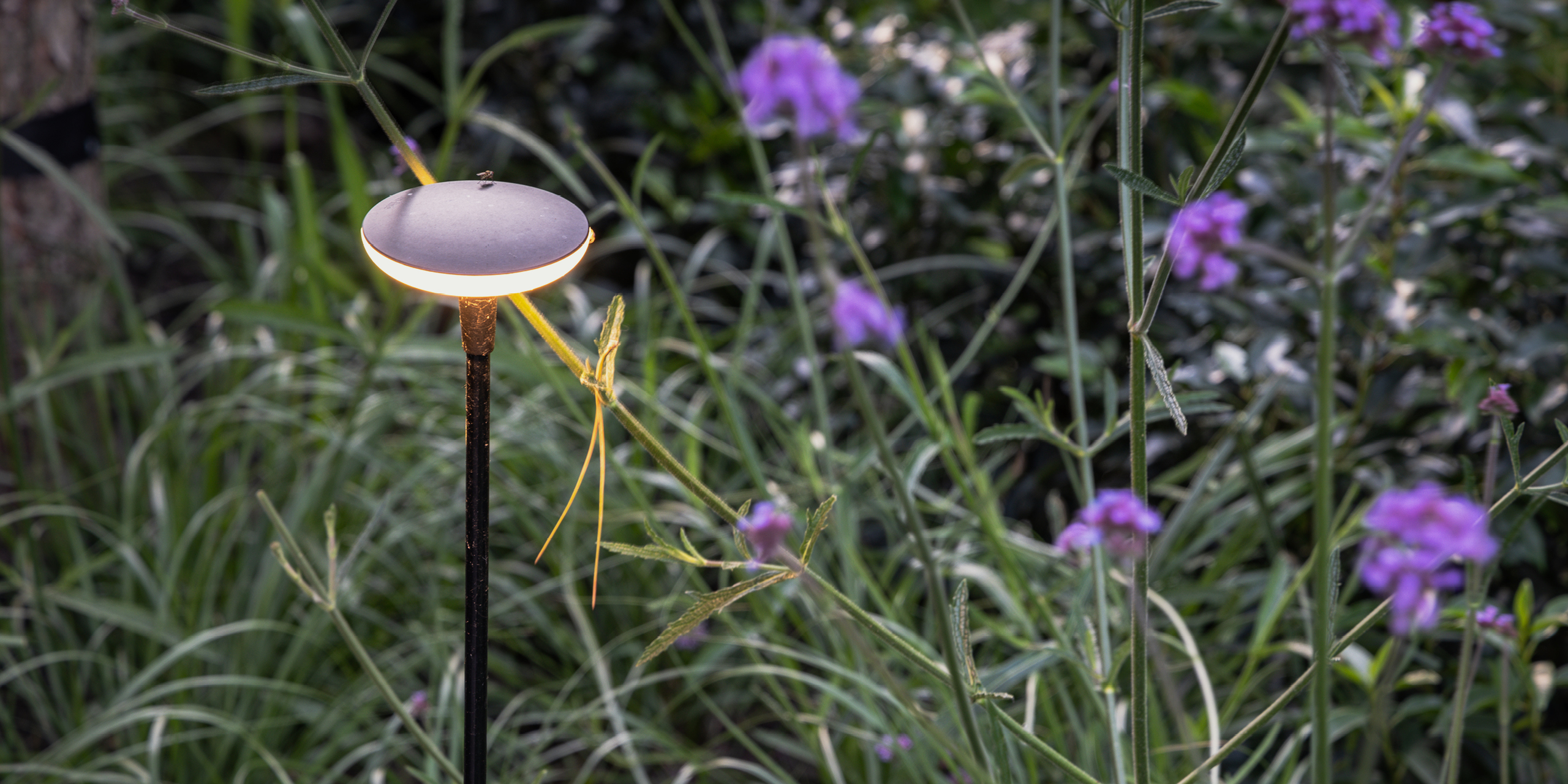 Amsterdamse Buytengewoon stadstuinen met tuinverlichting, verbena en siergras.