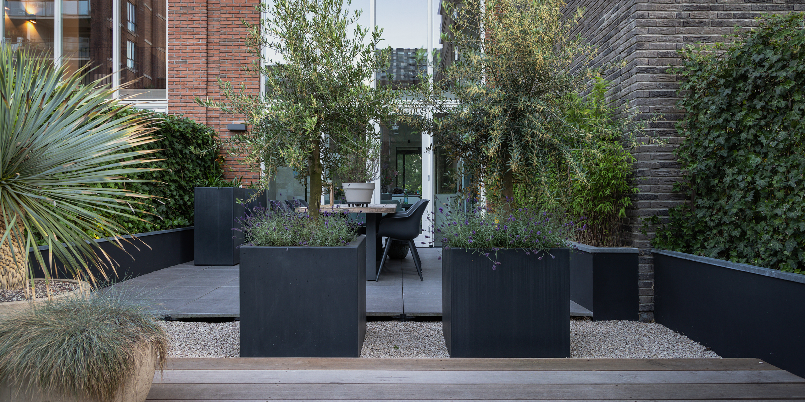 Amsterdamse Buytengewoon stadstuinen met olijfbomen, lavendel, hedera, tuintafel en bloembakken.